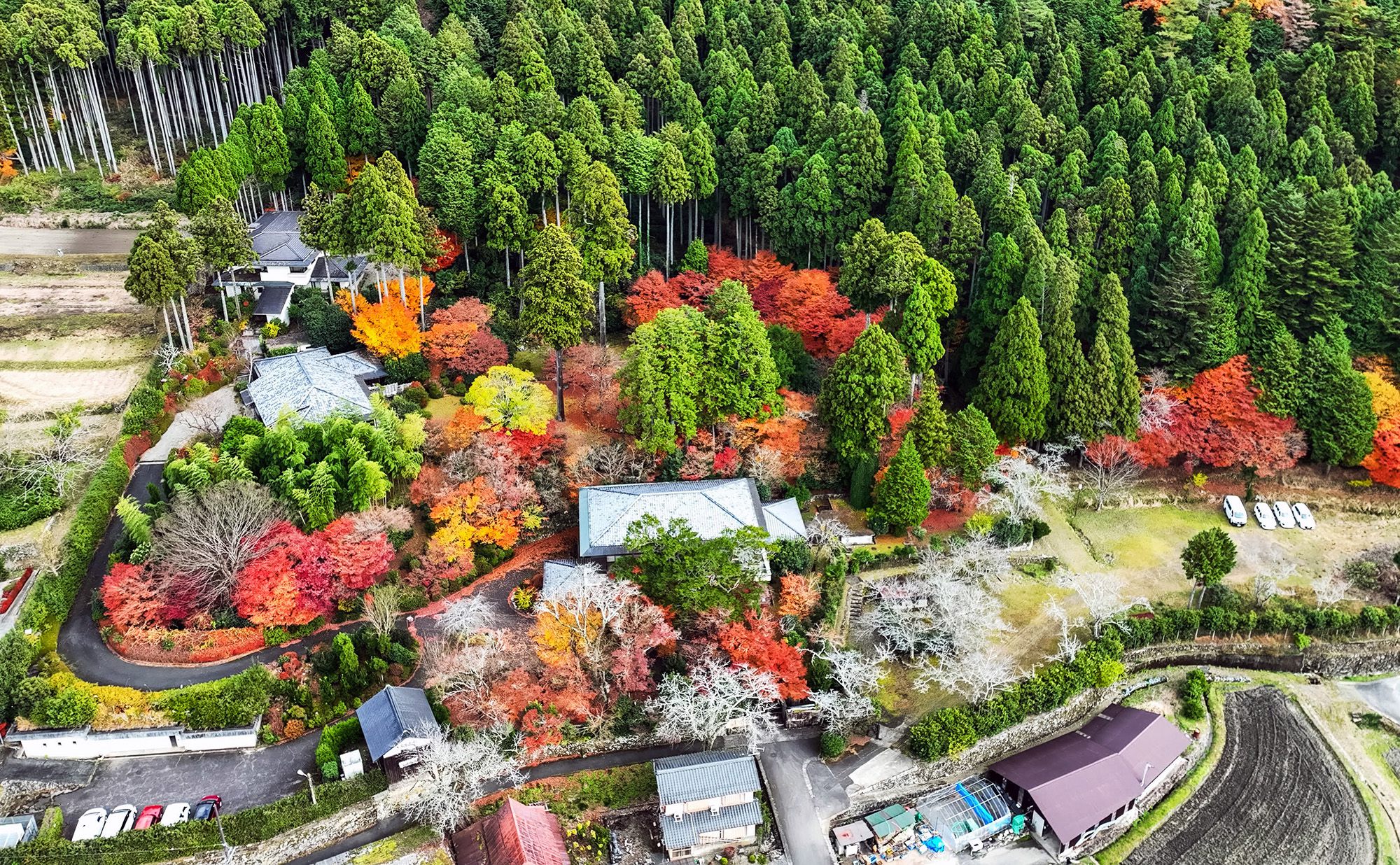 大原山荘